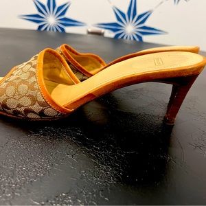 Coach  open front kitten heals